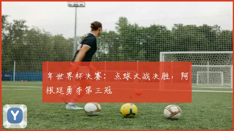年世界杯决赛：点球大战决胜，阿根廷勇夺第三冠