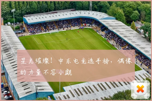 星光璀璨!中东电竞选手榜,偶像的力量不容小觑